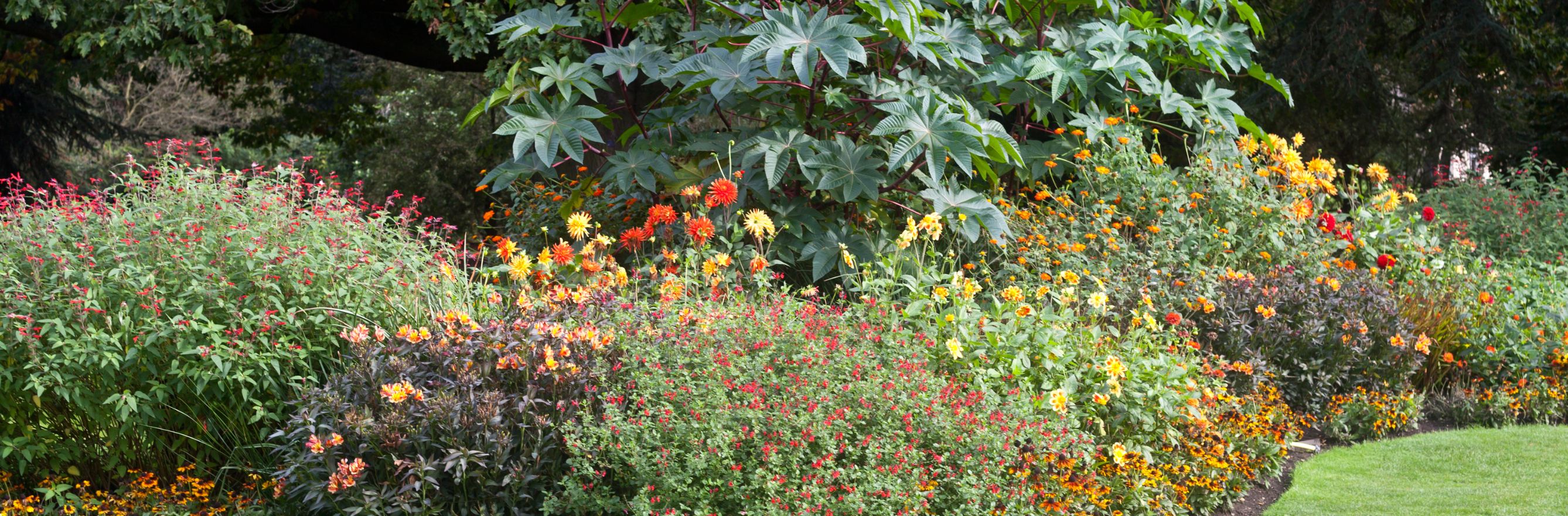 réussir son parterre fleuri