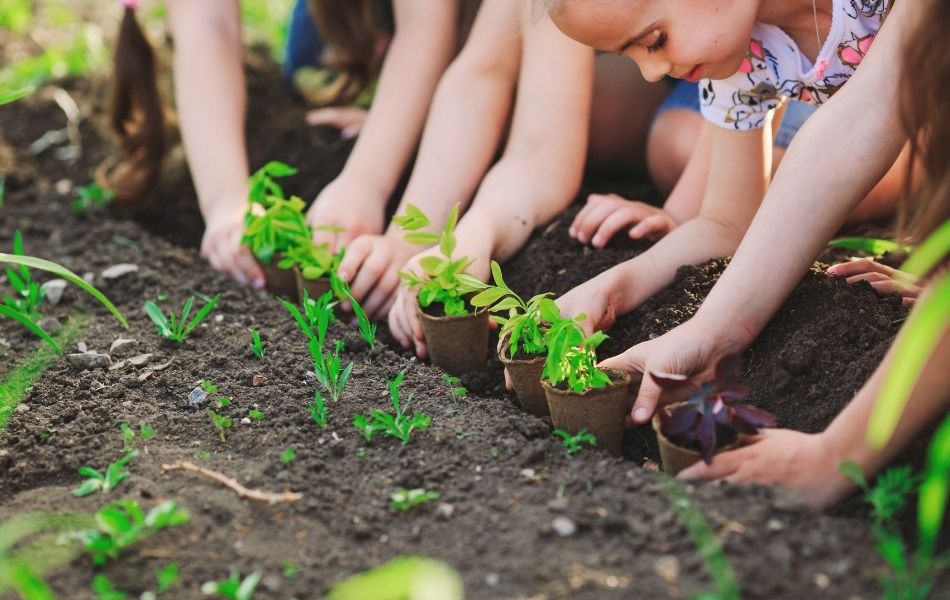 plantation  pour bien être au jardin