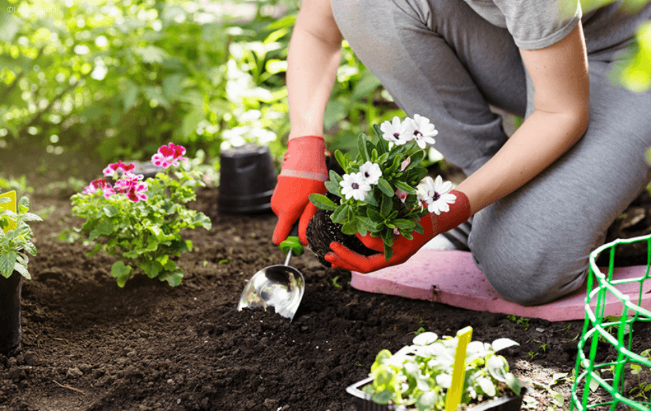 consignes de plantation en avril