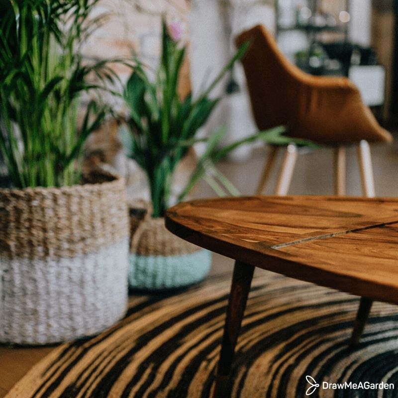 Créer un mini jardin dans son salon avec les plantes vertes