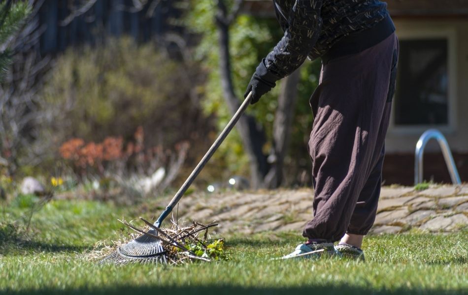 Les postures à respecter en jardinant pour éviter les maux de dos