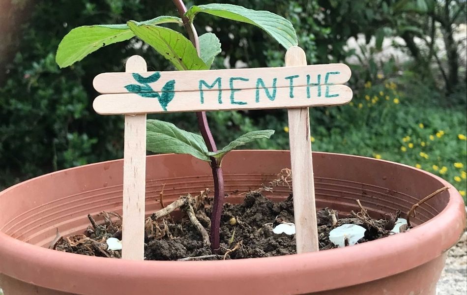 activité autour du jardin avec les enfants : marqueurs de potager avec les bâtons