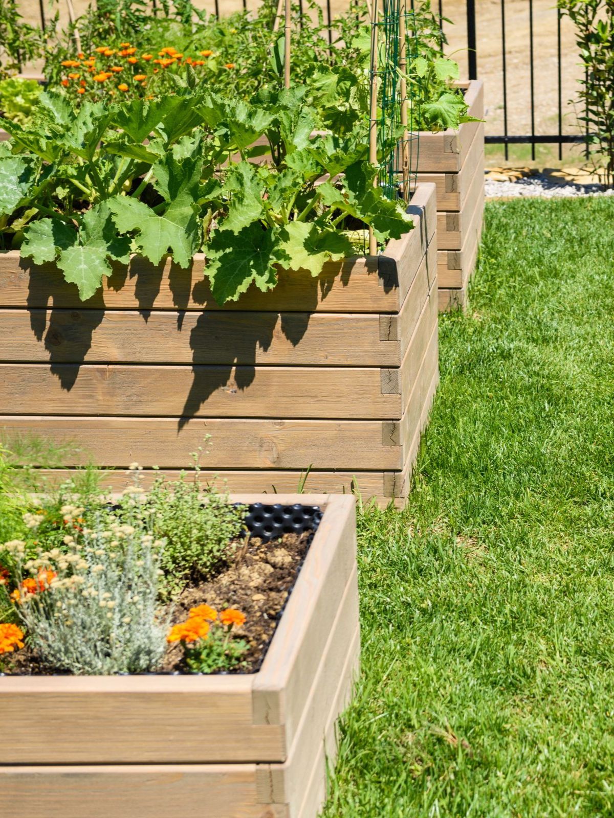 Potager en carré