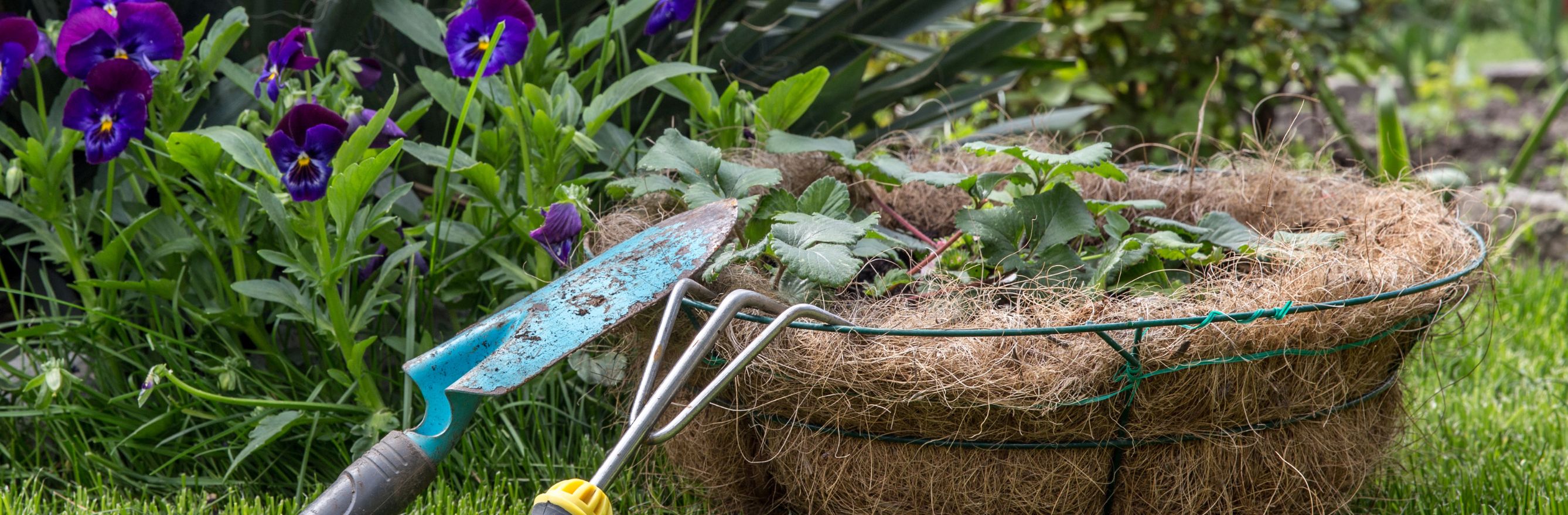 Résolution au jardin