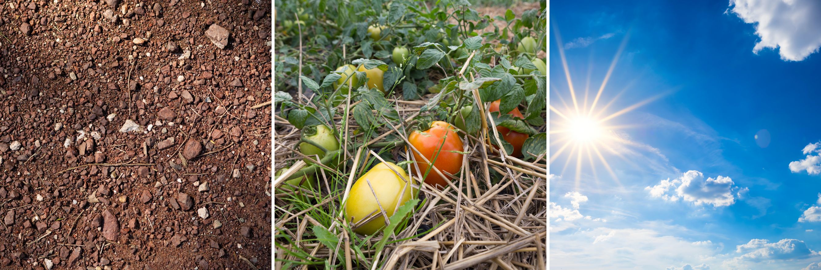 trois images représentant le ciel, la terre et le potager