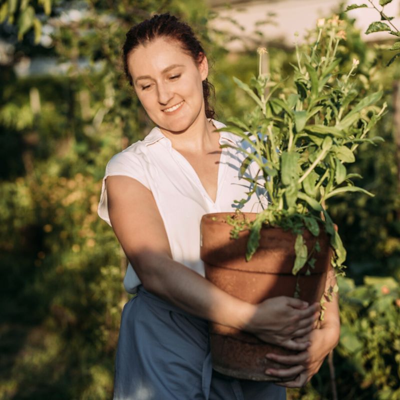stay un shape by gardening