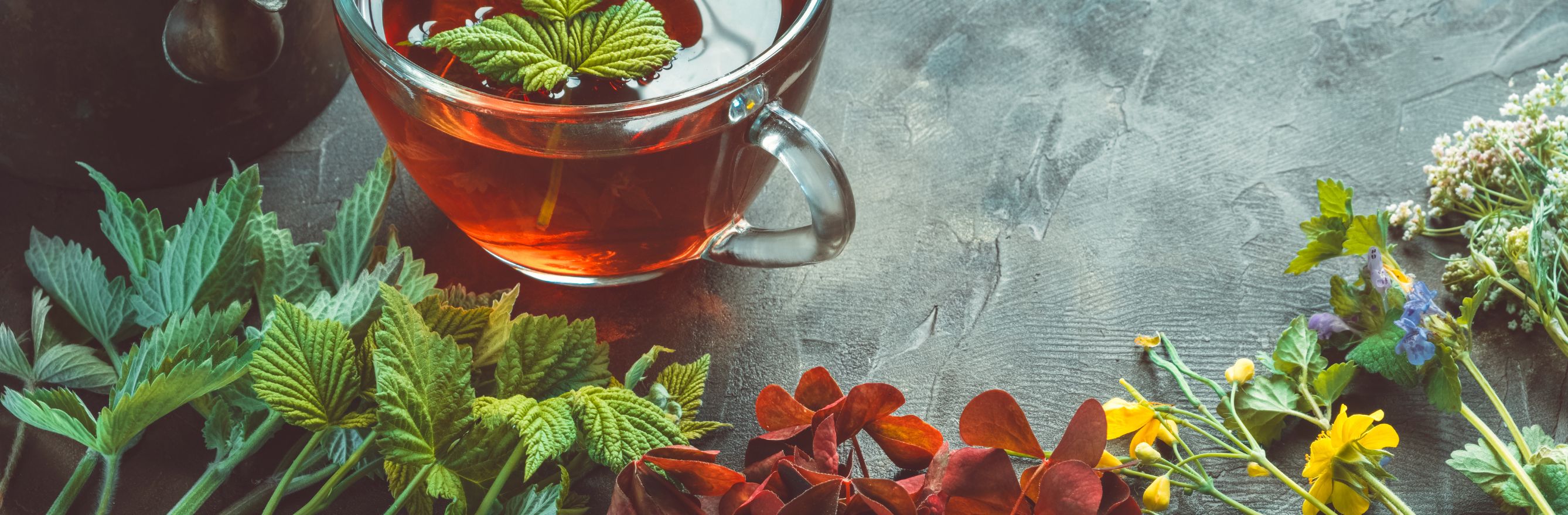 C'est la photo d'une tasse de thé et d'herbes séchées