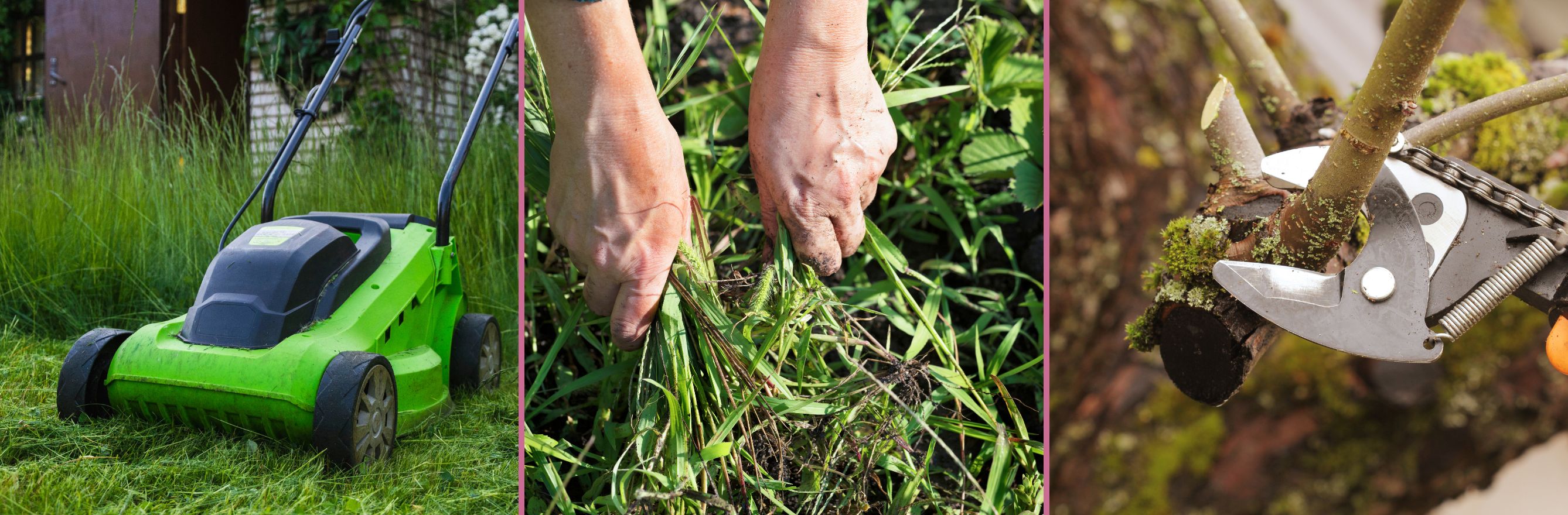 entretien du jardin