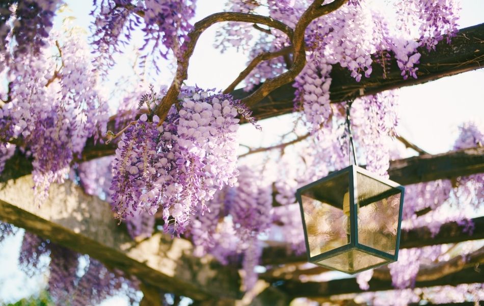 L'aménagement d'une tonnelle au jardin pour faire de l'ombre