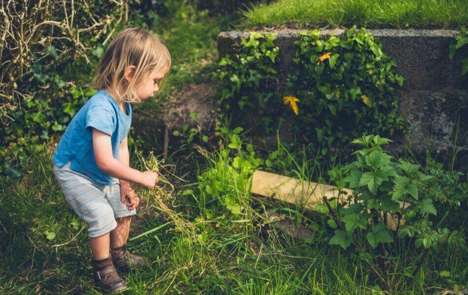 travaux de jardinage avec les enfants : le désherbage avec les enfants