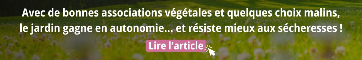 Saviez-vous qu’un jardin bien conçu résiste mieux à la sécheresse ? - lire l'article