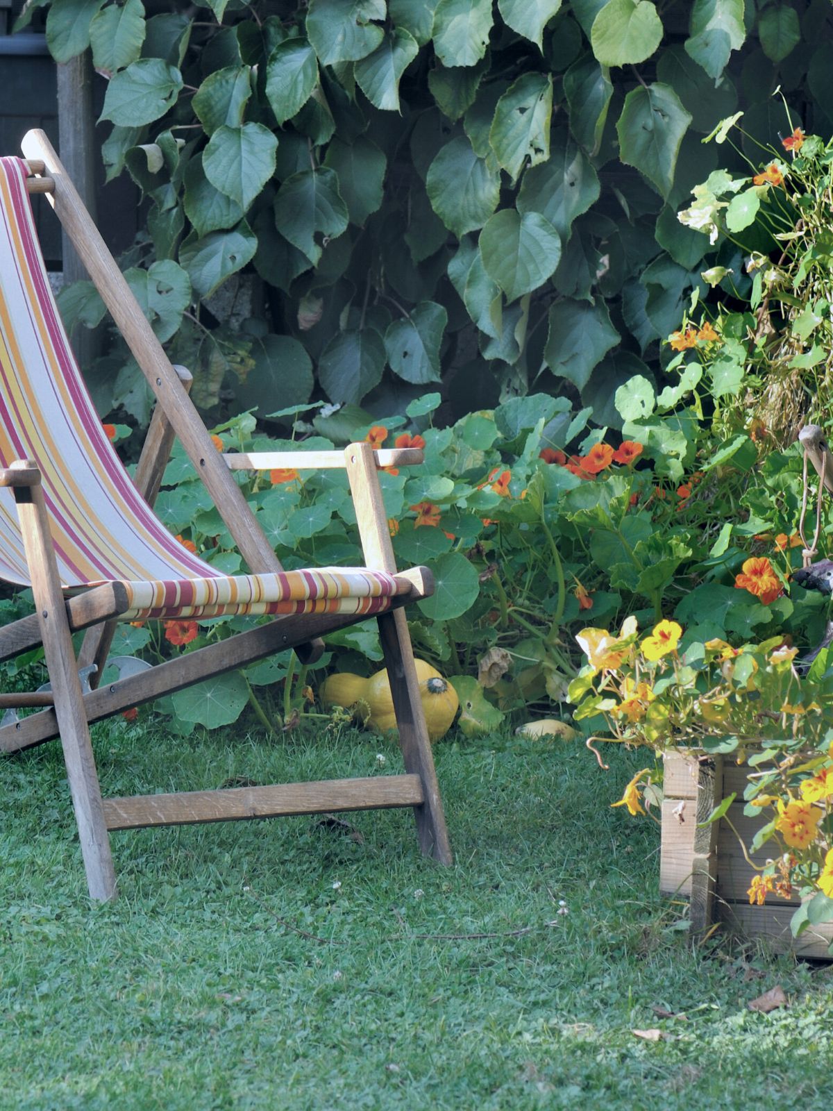 Détente au jardin