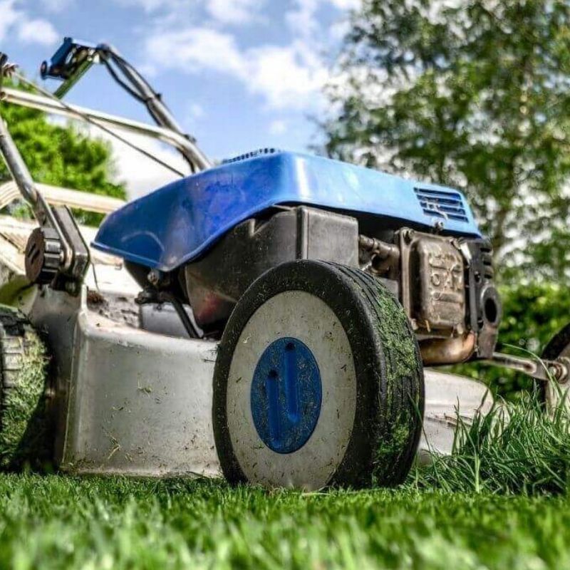 tonte du jardin avant les vacances
