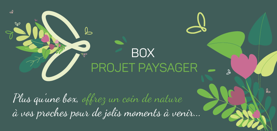 bannière présentant la box projet paysager