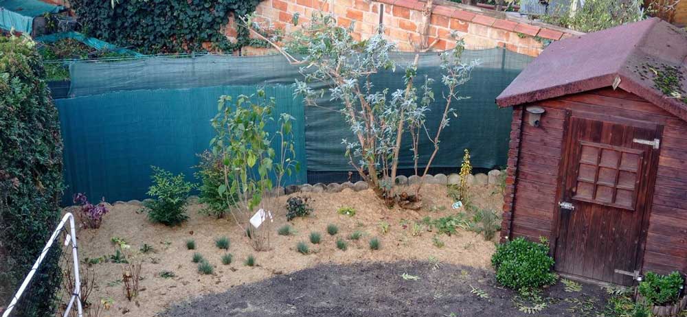 Réalisation avant après jardin Nature Libre à la plantation