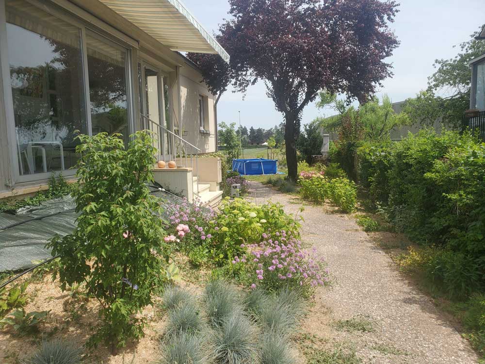 Réalisation avant après jardin nature libre après la plantation