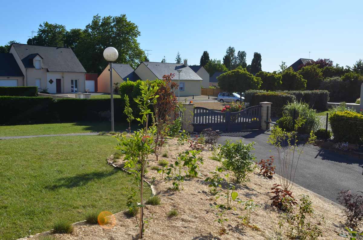 Réalisation avant après jardin nature libre près de Laval après la plantation