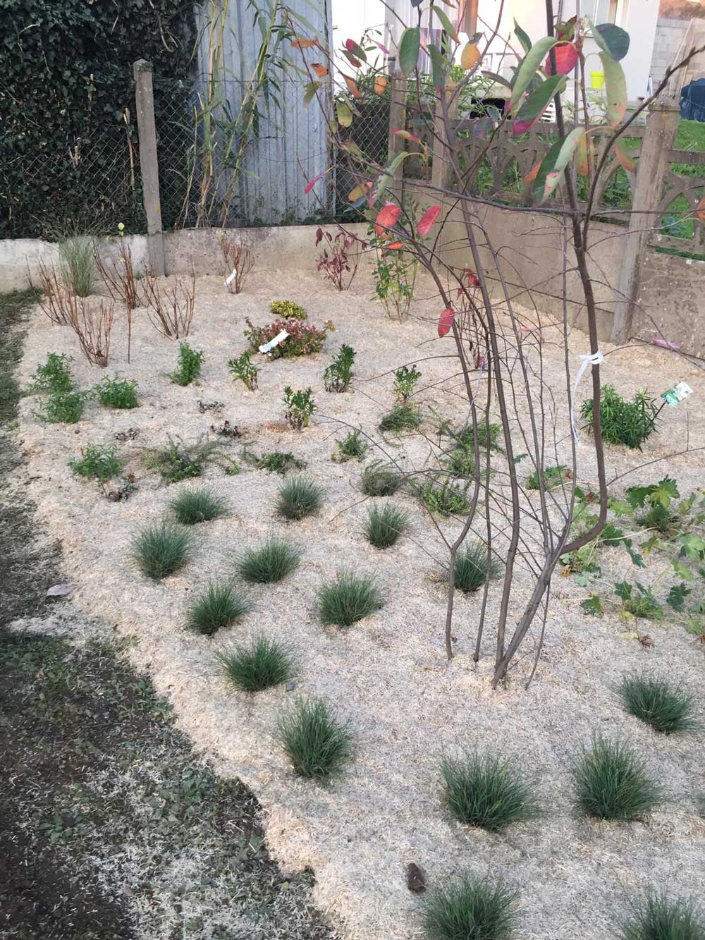 Réalisation avant après jardin Nature Libre après la plantation