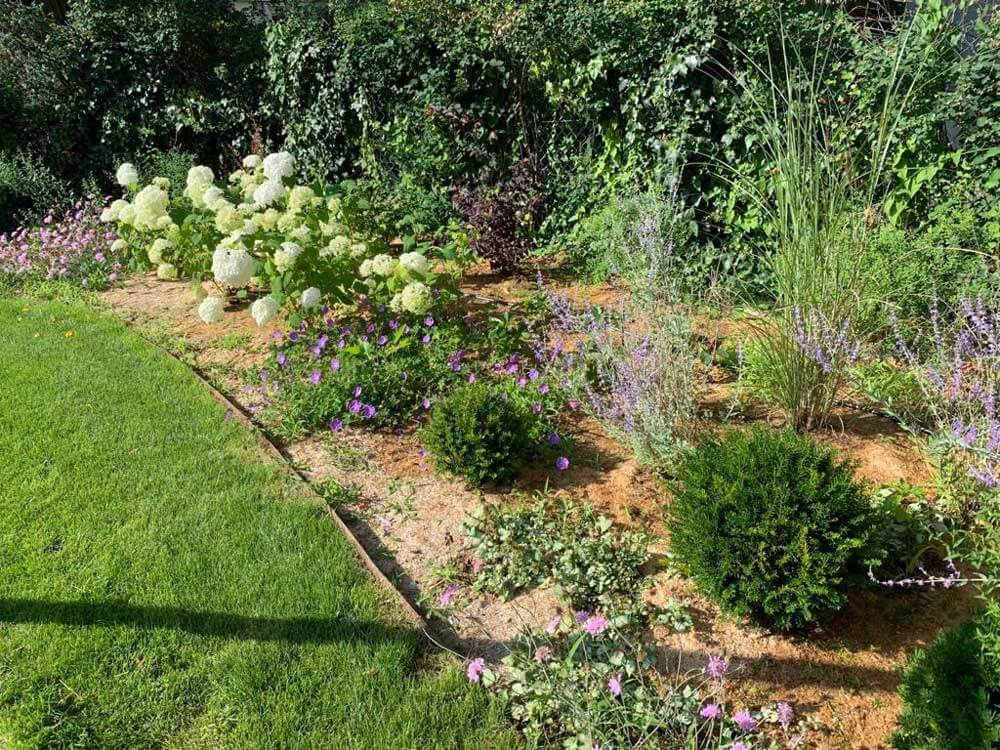 Réalisation Avant après jardin anglais 9 mois après