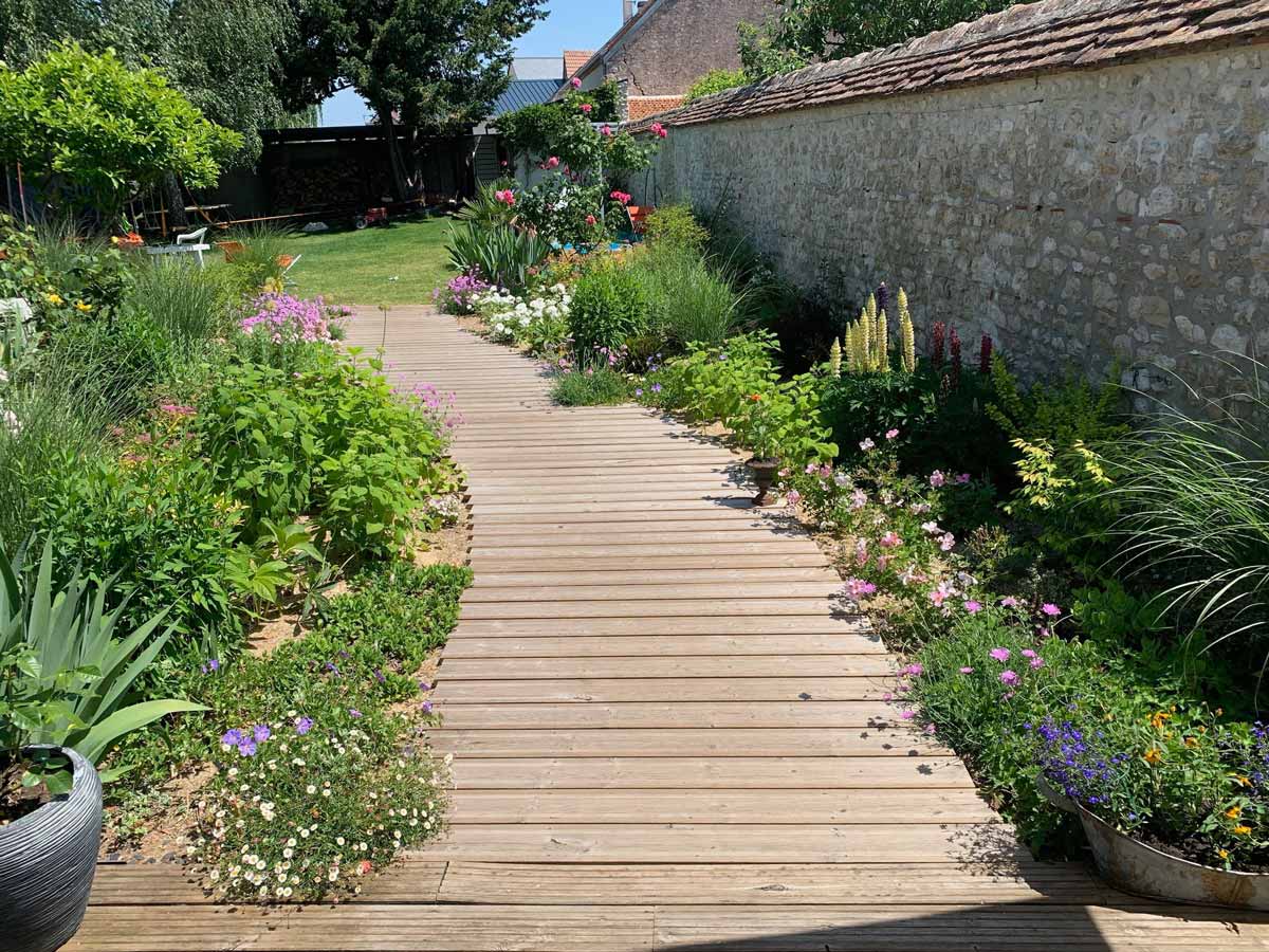 Réalisation avant après jardin nature libre Orléans apres 1 an