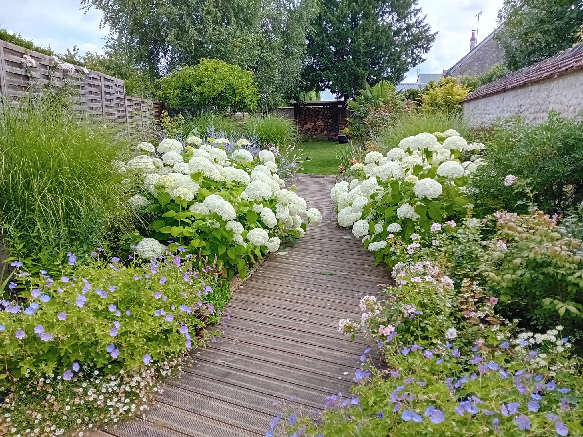 photo après plantation