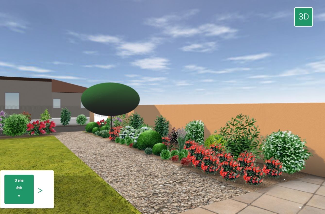 View of the garden in 3D at 2 years old