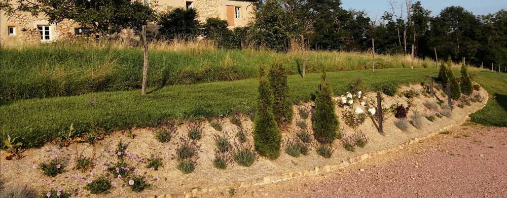 Realization before after Mediterranean garden after planting