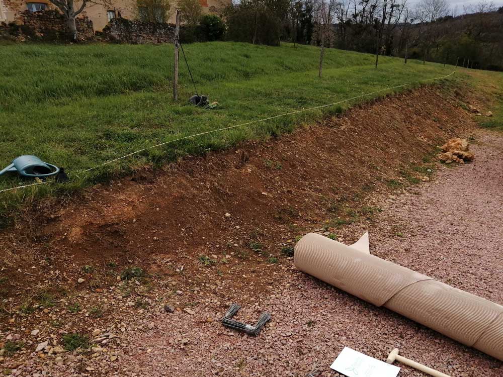 Réalisation avant après jardin méditerranéen pendant la plantation