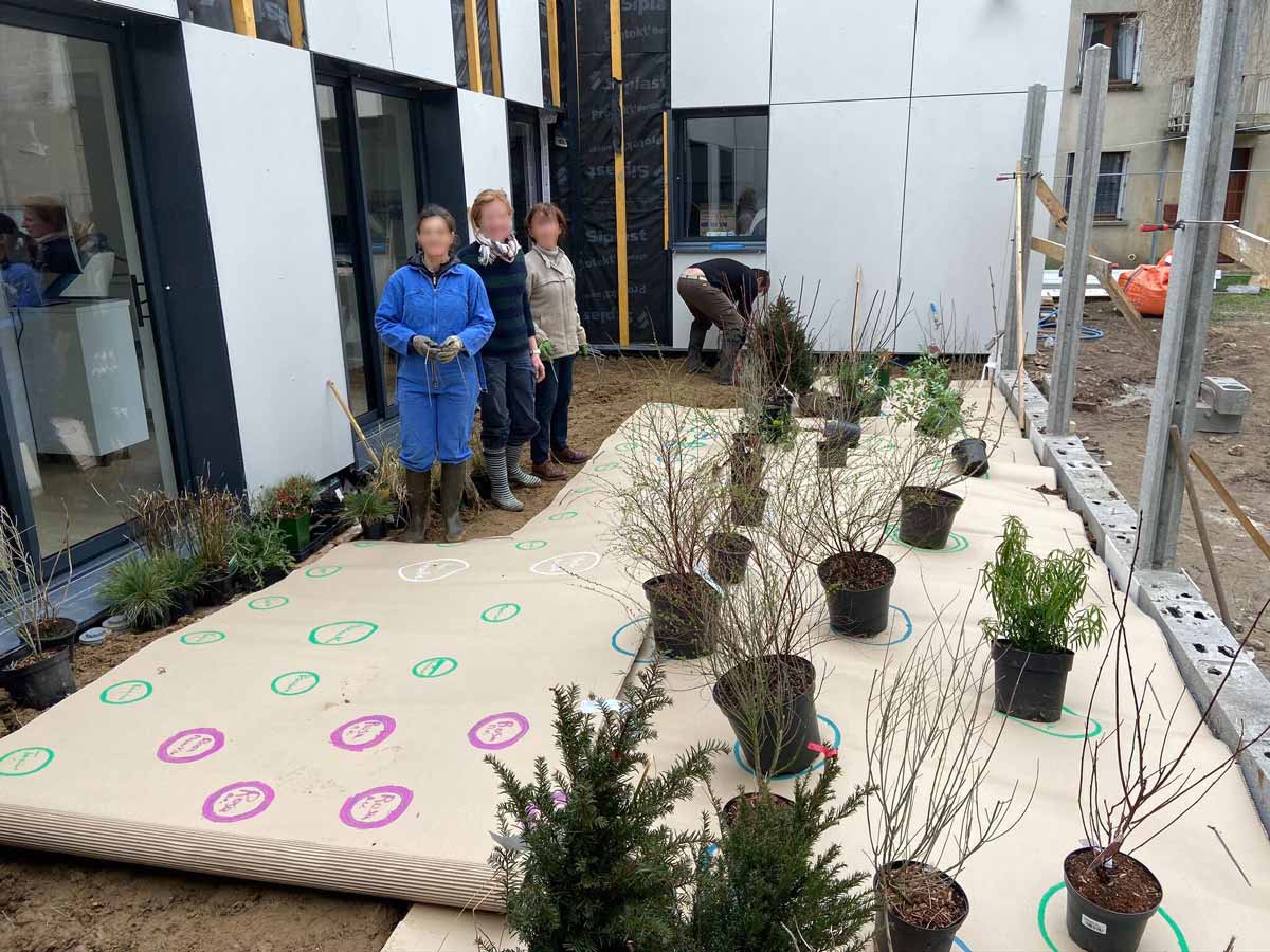 Réalisation avant après jardin français à Vendôme après la plantation