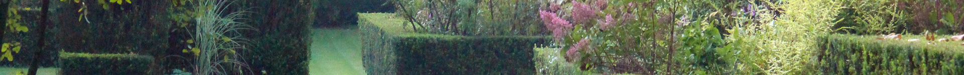 Vue d’un jardin inspirant le jardin Nature et Structure