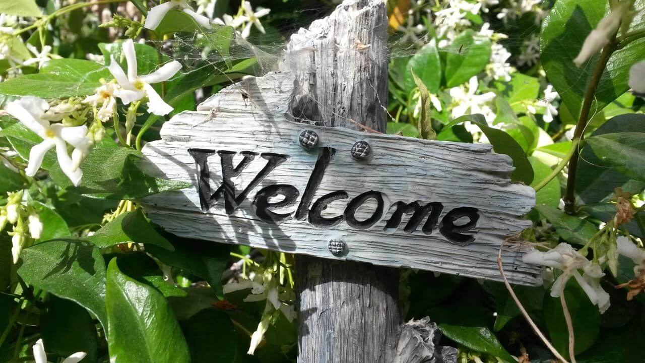 vieux panneau en bois portant la mention 'welcome' au milieu de plantes aux fleurs blanches