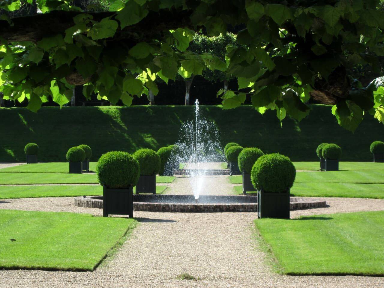 alley of a French garden with yew balls and small fountain