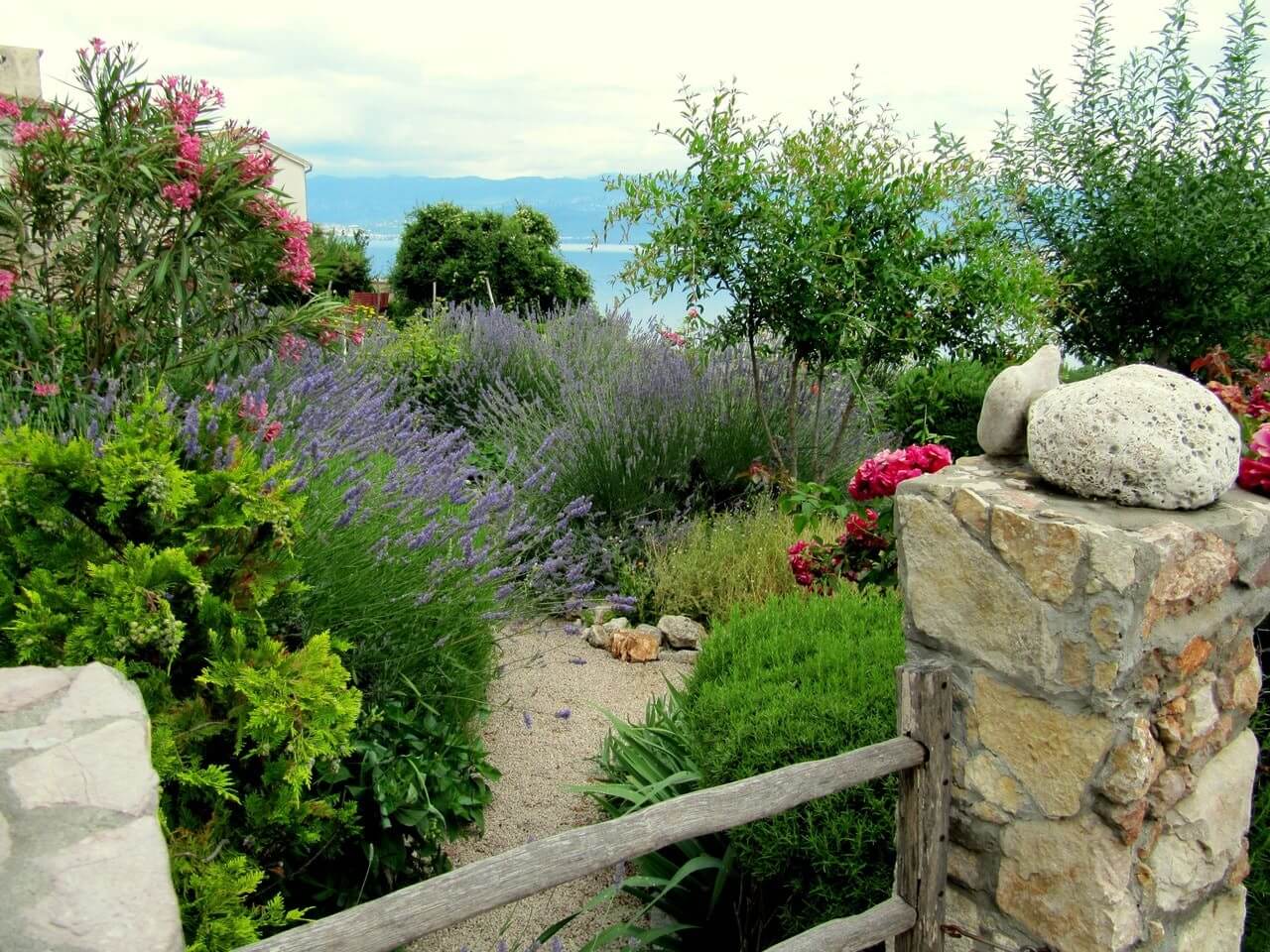 vue sur la mer méditerranée avec au premier plan un jardin arboré de lauriers roses, de lavande et de thuyas