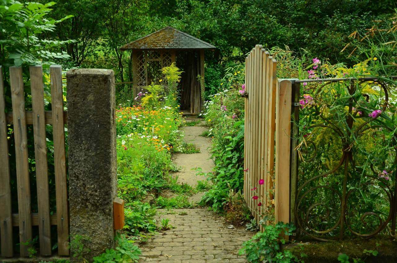open gate leading to a plant-covered driveway leading to a shed