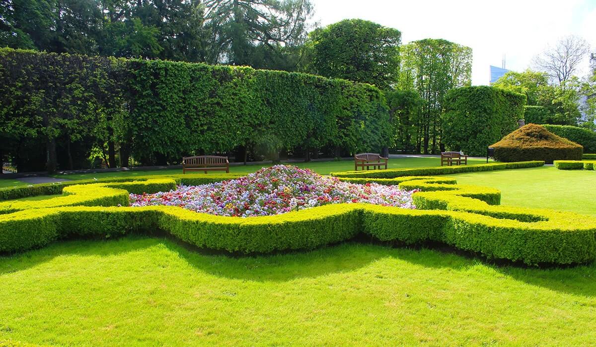 Haies taillées en topiaire pour inspiration du Jardin Nature et Structure