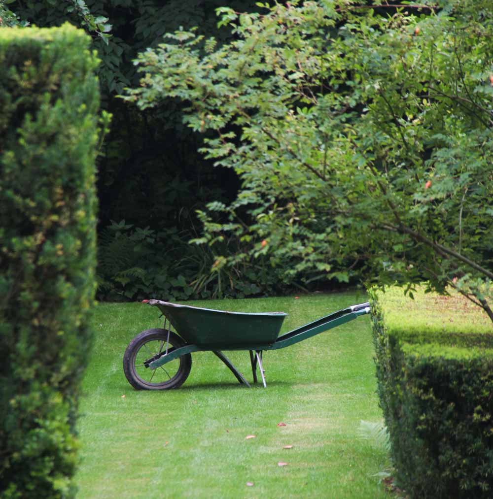 Brouette dans un jardin nature et structure Draw Me A Garden