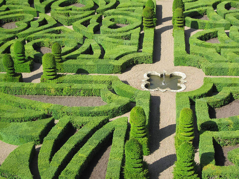 Labyrinthe d'ifs taillés en haie pour jardin français