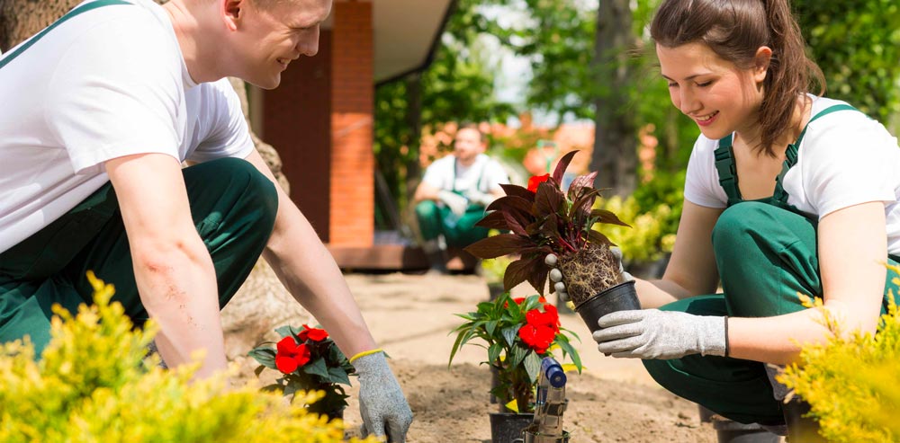 Photo d'un homme et d'une femme en tenue de jardiniers en train de planter