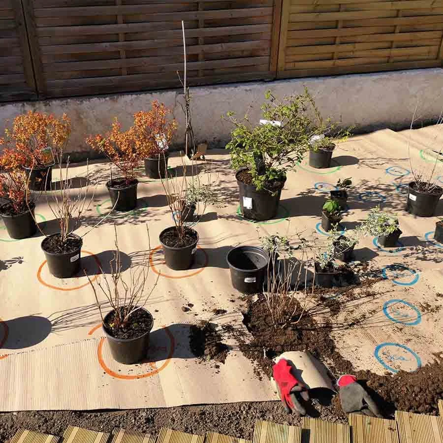 photo of the plants positioned on the life-size cardboard box of a draw me a garden garden