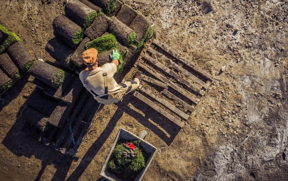 jardin paysager grâce à un paysagiste