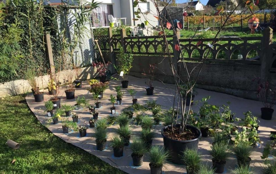 réalisation d’un jardin Draw Me A Garden à Blois, Centre Val de Loire