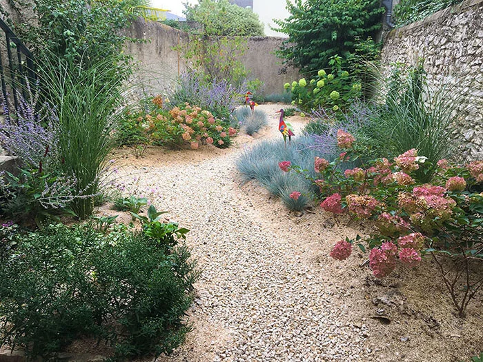 photo of a client garden from draw me a garden