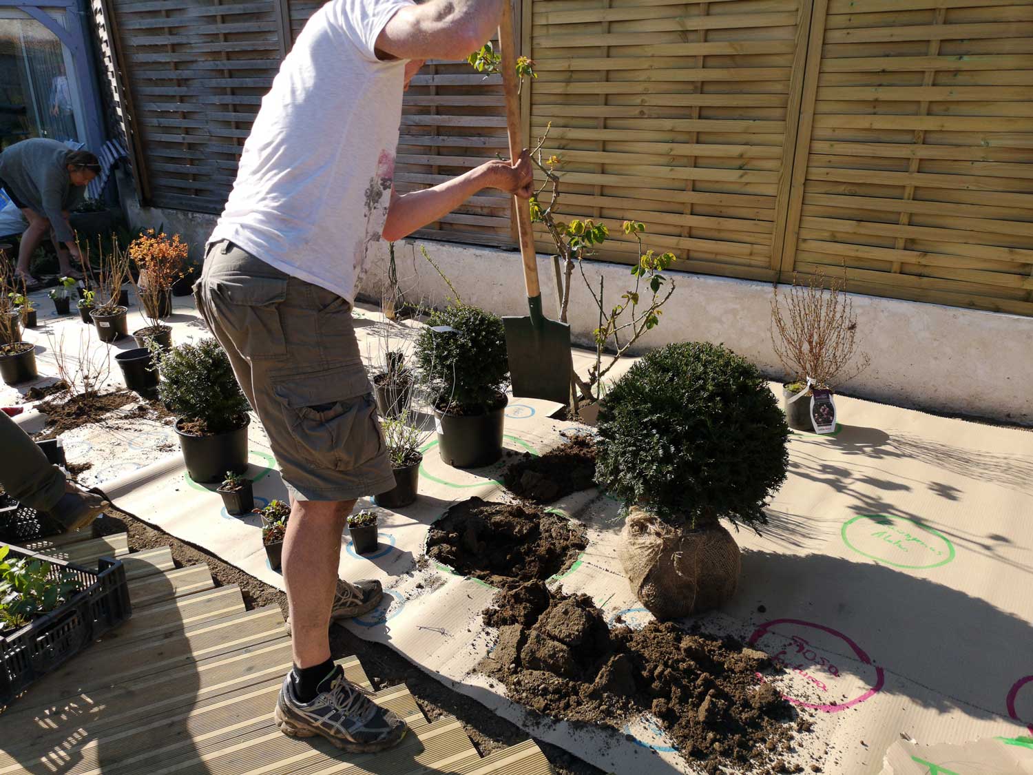 user draw me a garden planting his garden