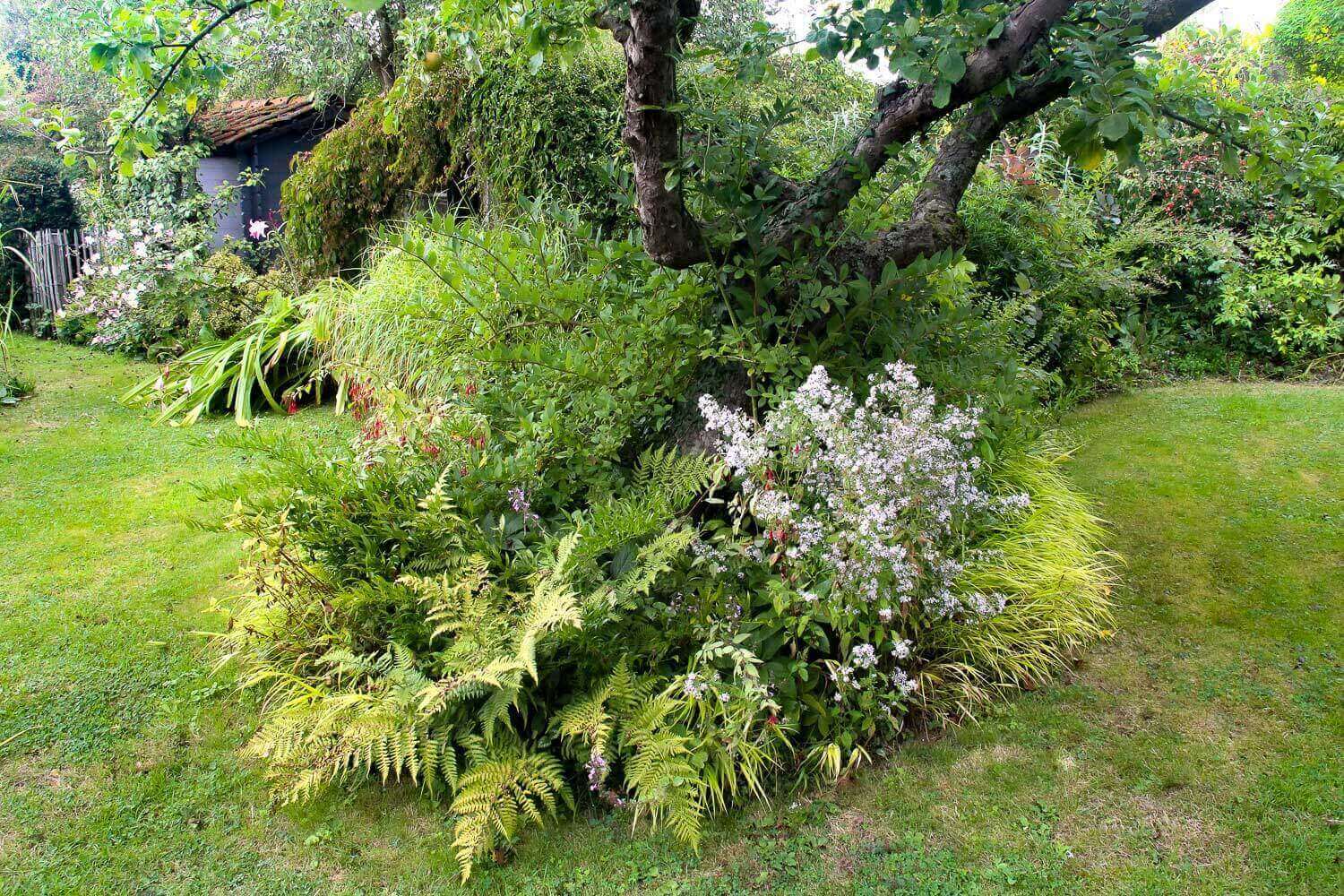 photo d'un jardin sauvage verdoyant
