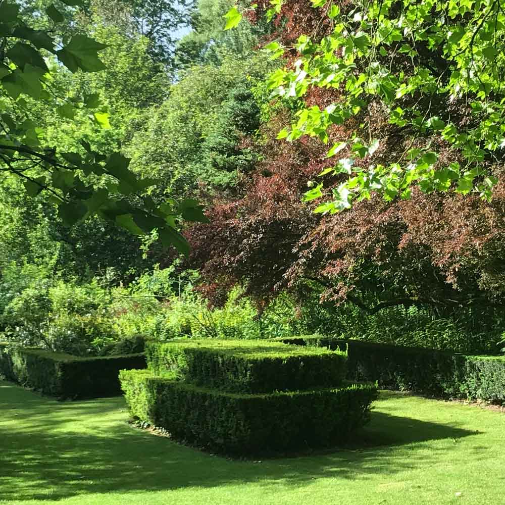 picture of sericourt's garden