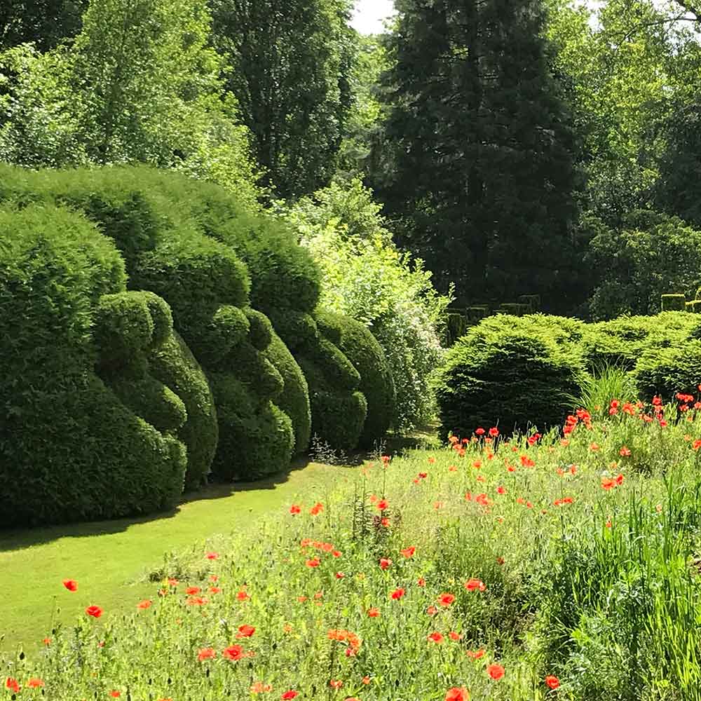 photo of the gardens of Séricourt