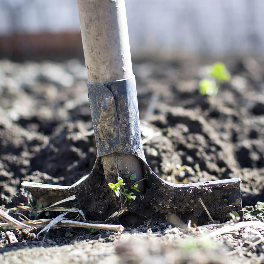close-up of a spade, a tool provided by draw me a garden, stuck in the ground