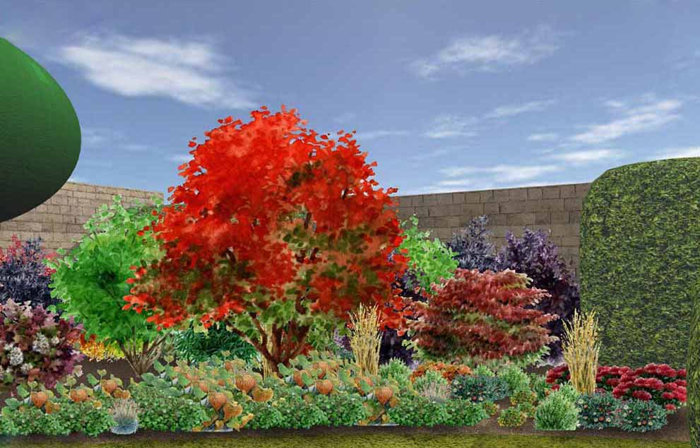 Garden view designed online – Automn after 5 years