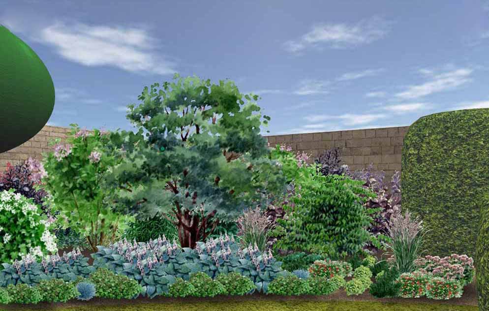 Garden view designed online – Spring after 5 years